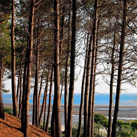 - T2 Cabine 50m² Avec Terrasse, Acces Plage Et Parking - Fr-1-420-141 Apartment *
